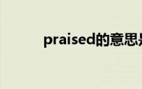 praised的意思是什么(praised)