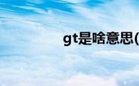 gt是啥意思(GT是啥意思)