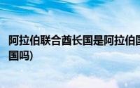 阿拉伯联合酋长国是阿拉伯国家吗(迪拜属于阿拉伯联合酋长国吗)