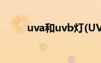 uva和uvb灯(UVA和UVB是什么)