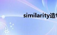 similarity造句(similarity)