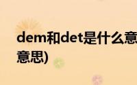 dem和det是什么意思啊(dem和det是什么意思)