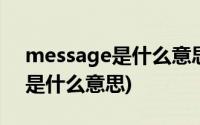 message是什么意思翻译成中文(message是什么意思)