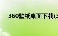 360壁纸桌面下载(360壁纸桌面拉一拉)