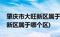 肇庆市大旺新区属于哪里(广东省肇庆市大旺新区属于哪个区)