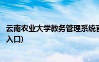 云南农业大学教务管理系统官网(云南农业大学教务管理系统入口)