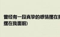 曾经有一段真挚的感情摆在我的面前(曾经有一段真挚的感情摆在我面前)