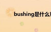 bushing是什么意思啊(bushing)