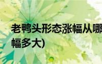 老鸭头形态涨幅从哪里开始算(老鸭头形态涨幅多大)