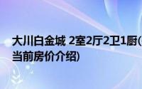 大川白金城 2室2厅2卫1厨(关于大川白金城 2室2厅2卫1厨当前房价介绍)