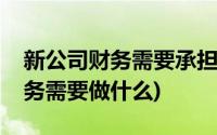 新公司财务需要承担哪些法律责任(新公司财务需要做什么)