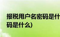 报税用户名密码是什么(网税系统用户名和密码是什么)