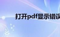 打开pdf显示错误(打开pdf的工具)