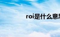 roi是什么意思(roi是什么)