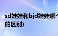 sd娃娃和bjd娃娃哪个好看(sd娃娃和bjd娃娃的区别)