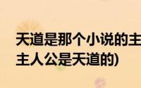 天道是那个小说的主角(有部什么小说里面的主人公是天道的)