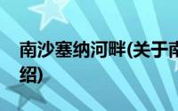 南沙塞纳河畔(关于南沙塞纳河畔当前房价介绍)