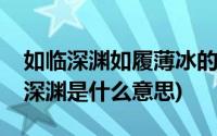 如临深渊如履薄冰的意思区别(如履薄冰如临深渊是什么意思)