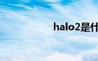 halo2是什么(halo2)