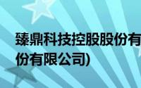 臻鼎科技控股股份有限公司(臻鼎科技控股股份有限公司)