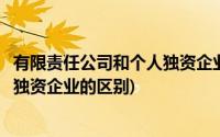 有限责任公司和个人独资企业的优缺点(有限责任公司和个人独资企业的区别)