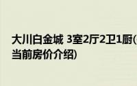 大川白金城 3室2厅2卫1厨(关于大川白金城 3室2厅2卫1厨当前房价介绍)