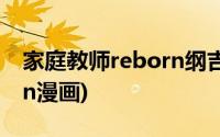 家庭教师reborn纲吉的技能(家庭教师reborn漫画)