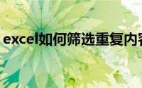 excel如何筛选重复内容(exsel怎么筛选重复)