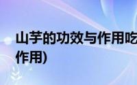 山芋的功效与作用吃法大全集(山芋的功效与作用)