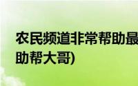 农民频道非常帮助最近节目(农民频道非常帮助帮大哥)