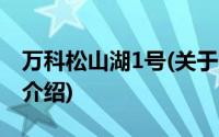 万科松山湖1号(关于万科松山湖1号当前房价介绍)