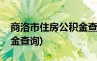 商洛市住房公积金查询官网(商洛市住房公积金查询)