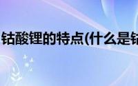 钴酸锂的特点(什么是钴酸锂电池 有什么特点)