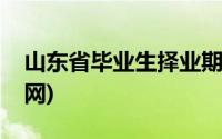 山东省毕业生择业期政策(山东省毕业生信息网)