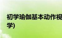 初学瑜伽基本动作视频第一集(初学瑜伽怎么学)