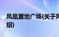 凤凰置地广场(关于凤凰置地广场当前房价介绍)