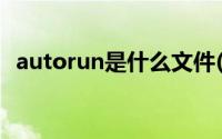 autorun是什么文件(autorun是什么意思)