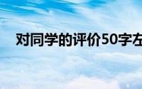 对同学的评价50字左右(对同学的评价语)