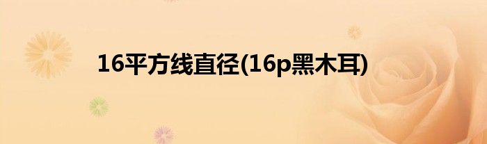 16平方线直径 16p黑木耳