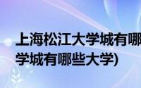 上海松江大学城有哪些艺术大学(上海松江大学城有哪些大学)