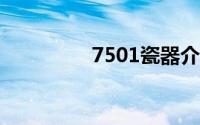 7501瓷器介绍(750显卡)