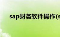 sap财务软件操作(sap财务软件多少钱)