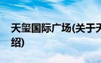 天玺国际广场(关于天玺国际广场当前房价介绍)