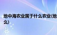 地中海农业属于什么农业(地中海农业与混合农业的区别是什么)