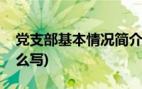 党支部基本情况简介模版(党支部基本情况怎么写)