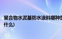 聚合物水泥基防水涂料哪种型号好(聚合物水泥基防水涂料是什么)