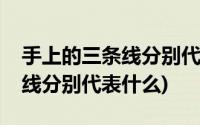 手上的三条线分别代表什么图解(手上的三条线分别代表什么)