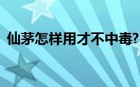 仙茅怎样用才不中毒?(仙茅怎么吃才不中毒)