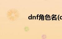 dnf角色名(dnf角色回复)