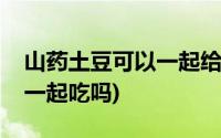 山药土豆可以一起给宝宝吃吗(山药土豆可以一起吃吗)